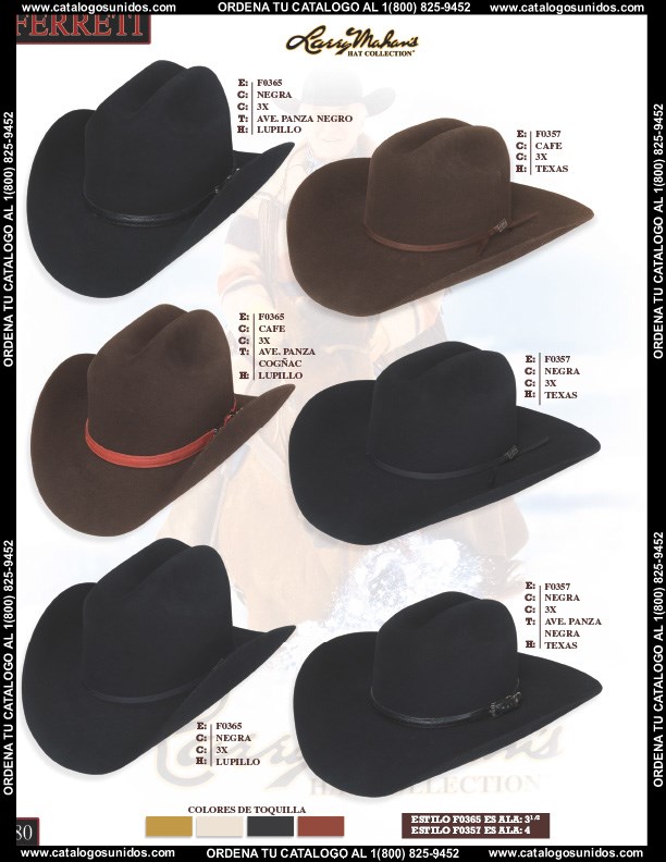 Ferreti2014 (Page 80)